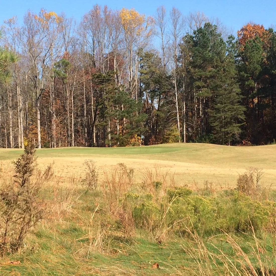 Brickshire Golf Club Course (10)